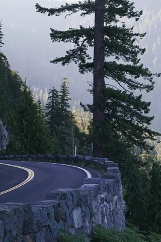 Обои дорога, деревья, горы, поворот, road, trees, mountains, turn разрешение 1920x1276 Загрузить