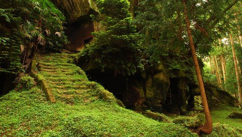 Обои деревья, лес, храм, лестница, ступеньки, руины, мох, trees, forest, temple, ladder, steps, ruins, moss разрешение 2560x1600 Загрузить