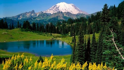 Обои деревья, озеро, горы, trees, lake, mountains разрешение 2560x1600 Загрузить