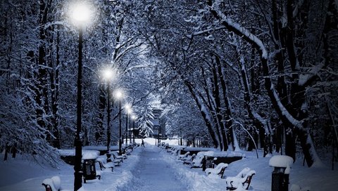 Обои деревья, фонари, огни, вечер, снег, зима, парк, лавочки, trees, lights, the evening, snow, winter, park, benches разрешение 2560x1600 Загрузить