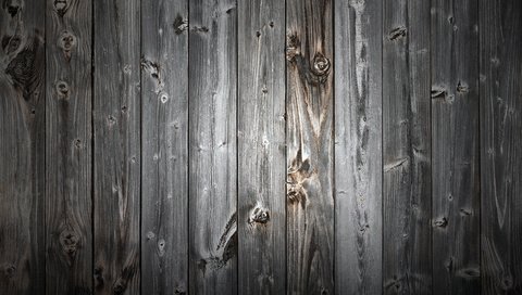 Обои дерево, текстура, дверь, доски, сарай, tree, texture, the door, board, the barn разрешение 2560x1600 Загрузить