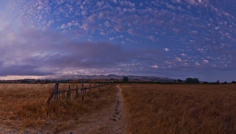 Обои небо, вечер, поле, the sky, the evening, field разрешение 3200x1200 Загрузить