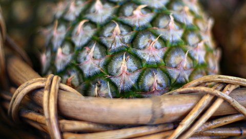 Обои макро, корзина, ананас, macro, basket, pineapple разрешение 1920x1080 Загрузить