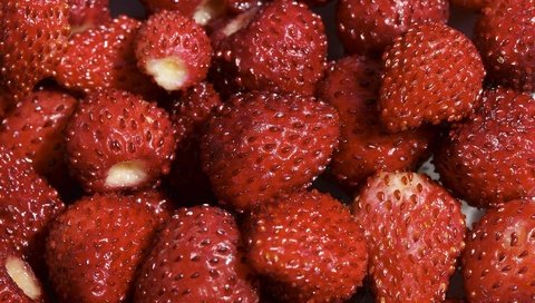 Обои клубника, красный, ягоды, земляника, strawberry, red, berries, strawberries разрешение 1920x1200 Загрузить