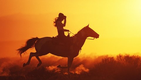 Обои лошадь, закат, девушка, голоп, horse, sunset, girl, the golop разрешение 2560x1600 Загрузить