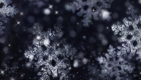 Обои снег, зима, макро, снежинки, снежинка, snow, winter, macro, snowflakes, snowflake разрешение 1920x1200 Загрузить