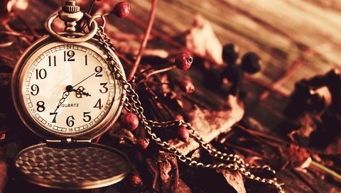 Обои осень, часы, ягоды, сухие, цепочка, циферблат, карманные часы, autumn, watch, berries, dry, chain, dial, pocket watch разрешение 1920x1200 Загрузить