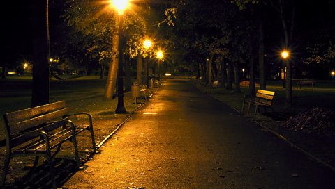 Обои ночь, фонари, парк, скамейка, аллея, night, lights, park, bench, alley разрешение 1920x1200 Загрузить