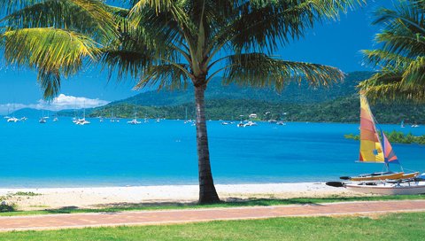 Обои пляж, яхты, пальмы, тропики, beach, yachts, palm trees, tropics разрешение 1920x1080 Загрузить