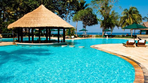 Обои пальмы, бассейн, отдых, тропики, palm trees, pool, stay, tropics разрешение 2560x1600 Загрузить