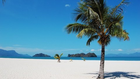 Обои пляж, пальмы, тропики, beach, palm trees, tropics разрешение 2975x1951 Загрузить