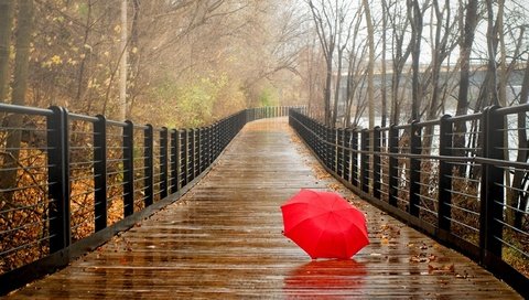 Обои деревья, прогулка, река, зонтик, природа, зонтик на мокром мосту, листья, парк, мост, осень, дождь, trees, walk, river, umbrella, umbrella on a wet bridge, nature, leaves, park, bridge, autumn, rain разрешение 2560x1440 Загрузить