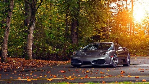 Обои парк, осень, феррари, 430, scuderia, park, autumn, ferrari разрешение 1920x1200 Загрузить