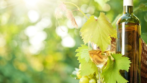 Обои виноград, бокал, вино, бутылка, солнечные лучи, grapes, glass, wine, bottle, the sun's rays разрешение 3609x2912 Загрузить