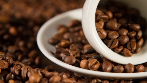 Обои зерна, кофе, блюдце, чашка, кофейные, grain, coffee, saucer, cup разрешение 2048x1365 Загрузить