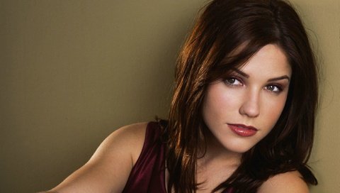 Обои брюнетка, взгляд, лицо, актриса, софия буш, brunette, look, face, actress, sophia bush разрешение 2196x1464 Загрузить