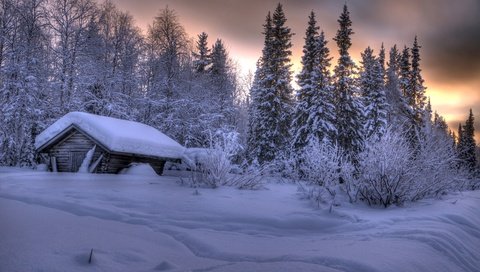 Обои деревья, акасломполо, снег, юлляс, лес, иэбушка, зима, сугробы, избушка, финляндия, лапландия, trees, akaslompolo, snow, ylläs, forest, ivushka, winter, the snow, hut, finland, lapland разрешение 3600x2386 Загрузить