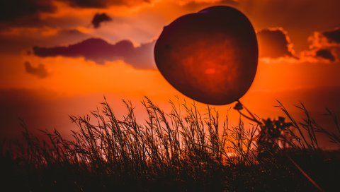 Обои трава, закат, сердце, шарик, heart balloon, grass, sunset, heart, ball разрешение 2048x1365 Загрузить