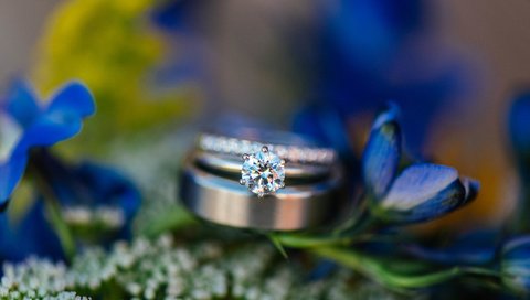 Обои цветы, камень, кольцо, обручальное, синие лепестки, flowers, stone, ring, wedding, blue petals разрешение 6016x4016 Загрузить