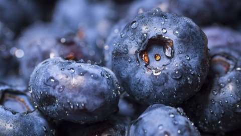 Обои макро, ягоды, черника, macro, berries, blueberries разрешение 2048x1365 Загрузить