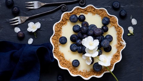 Обои ягоды, вилки, пирог, цветки, голубика, тарт, berries, fork, pie, flowers, blueberries, tart разрешение 3862x2802 Загрузить