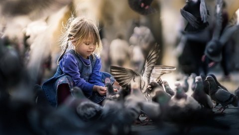 Обои девочка, улица, птицы, girl, street, birds разрешение 1920x1279 Загрузить