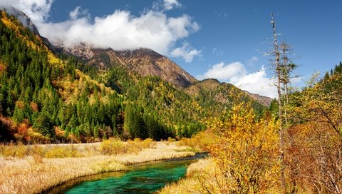 Обои небо, китай, трава, заповедник, облака, солнечно, деревья, национальный парк, горы, цзючжайгоу, лес, ручей, осень, the sky, china, grass, reserve, clouds, sunny, trees, national park, mountains, jiuzhaigou, forest, stream, autumn разрешение 4000x2670 Загрузить