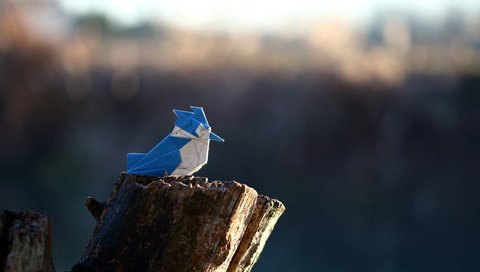 Обои бумага, птица, оригами, crested kingfisher, paper, bird, origami разрешение 2560x1707 Загрузить