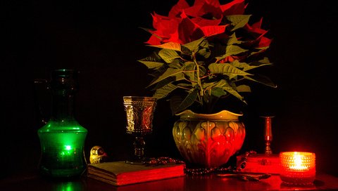 Обои мрак, цветок, растение, ваза, свеча, книга, натюрморт, горшок, the darkness, flower, plant, vase, candle, book, still life, pot разрешение 3646x2624 Загрузить