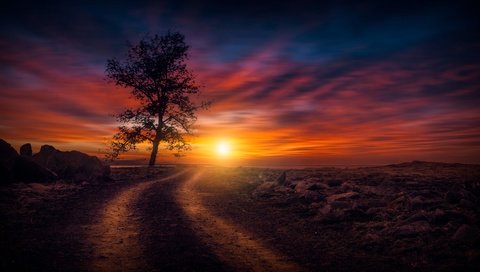 Обои небо, дорога, солнце, природа, дерево, закат, the sky, road, the sun, nature, tree, sunset разрешение 7059x4206 Загрузить