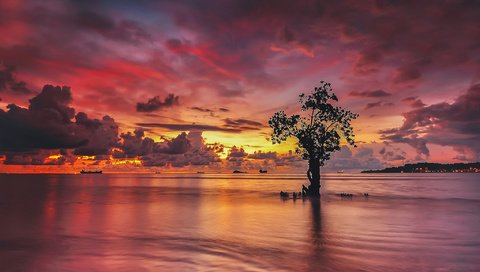 Обои облака, огни, вода, дерево, закат, отражение, корабли, clouds, lights, water, tree, sunset, reflection, ships разрешение 2048x1279 Загрузить