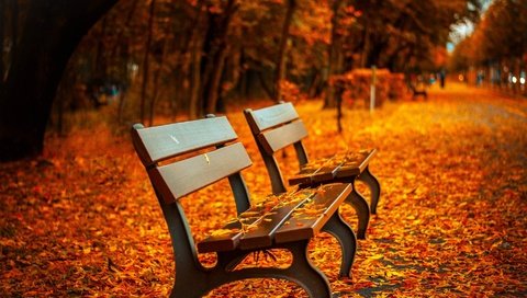 Обои природа, листья, парк, осень, скамейки, осенние листья, nature, leaves, park, autumn, benches, autumn leaves разрешение 1927x1280 Загрузить