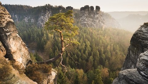 Обои горы, лес, германия, сосна, саксонская швейцария, эльбские песчаниковые горы, mountains, forest, germany, pine, saxon switzerland, elbe sandstone mountains разрешение 2560x1707 Загрузить