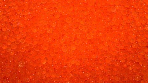 Обои текстура, макро, икра, морепродукты, красная икра, texture, macro, caviar, seafood, red caviar разрешение 2560x1600 Загрузить