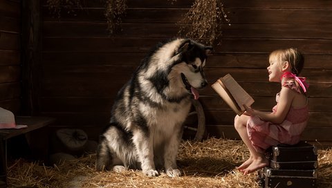 Обои улыбка, аляскинский маламут, собака, ребёнок., дети, девочка, солома, книга, друзья, чемодан, smile, alaskan malamute, dog, child., children, girl, straw, book, friends, suitcase разрешение 3715x2477 Загрузить