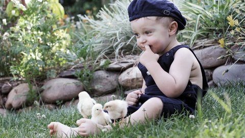 Обои трава, природа, камни, ребенок, мальчик, кепка, птенцы, цыплята, grass, nature, stones, child, boy, cap, chicks, chickens разрешение 2048x1365 Загрузить