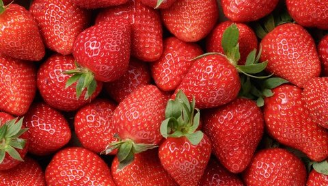 Обои клубника, ягоды, крупным планом, strawberry, berries, closeup разрешение 2560x1600 Загрузить