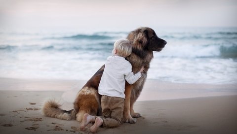 Обои море, песок, пляж, собака, следы, ребенок, мальчик, друзья, sea, sand, beach, dog, traces, child, boy, friends разрешение 2880x1800 Загрузить