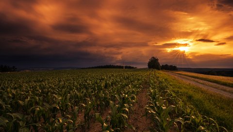 Обои небо, дорога, закат, поле, горизонт, lena held, the sky, road, sunset, field, horizon разрешение 5472x3648 Загрузить