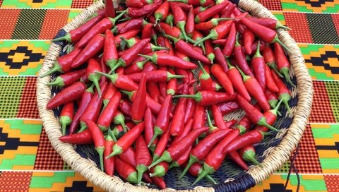 Обои корзинка, чили, перец, красный перец, basket, chile, pepper, red pepper разрешение 2592x1936 Загрузить