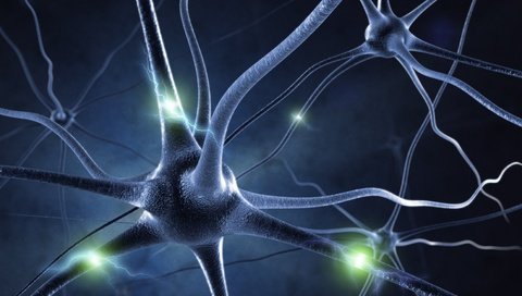 Обои свет, фон, синий, цвет, клетки, нейрон, синапсы, 3d графика, light, background, blue, color, cells, neuron, synapses, 3d graphics разрешение 5000x3753 Загрузить