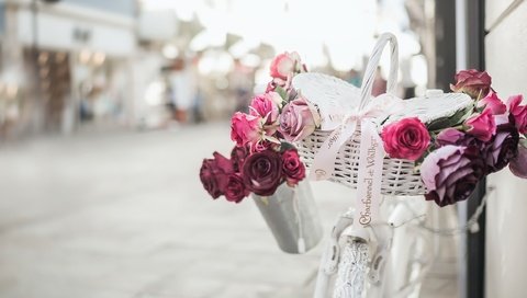 Обои цветы, розы, улица, велосипед, корзинка, flowers, roses, street, bike, basket разрешение 2500x1733 Загрузить