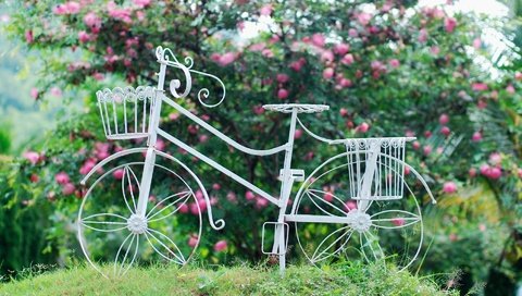Обои цветы, трава, листья, фон, колеса, корзина, велосипед, flowers, grass, leaves, background, wheel, basket, bike разрешение 1920x1200 Загрузить