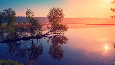 Обои небо, рассвет, деревья, озеро, река, солнце, лес, отражение, туман, the sky, dawn, trees, lake, river, the sun, forest, reflection, fog разрешение 2880x1800 Загрузить