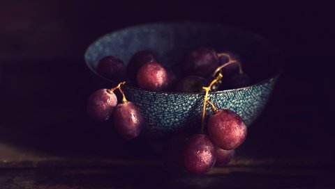 Обои фон, виноград, капли, ягоды, натюрморт, миска, background, grapes, drops, berries, still life, bowl разрешение 2499x1663 Загрузить