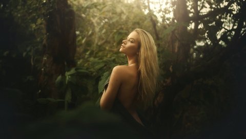 Обои лес, блондинка, взгляд, спина, tj drysdale, forest, blonde, look, back разрешение 2048x1365 Загрузить