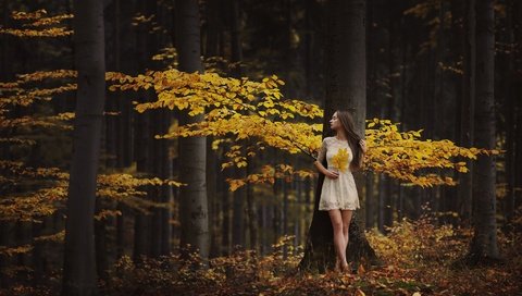 Обои деревья, лес, листья, девушка, настроение, осень, trees, forest, leaves, girl, mood, autumn разрешение 2048x1463 Загрузить