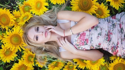 Обои подсолнухи, цветы, aleksey lozgachev, девушка, блондинка, лепестки, взгляд, модель, волосы, лицо, sunflowers, flowers, girl, blonde, petals, look, model, hair, face разрешение 1920x1280 Загрузить
