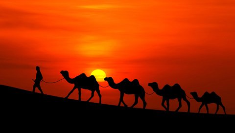 Обои солнце, закат, пустыня, человек, караван, верблюды, the sun, sunset, desert, people, caravan, camels разрешение 2160x1622 Загрузить