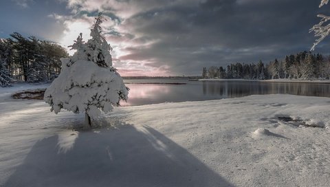 Обои небо, ель, облака, деревья, озеро, снег, природа, лес, зима, the sky, spruce, clouds, trees, lake, snow, nature, forest, winter разрешение 1920x1200 Загрузить